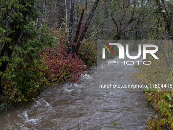 Rain from an atmospheric river swells Wolf Creek in Grass Valley, Calif., on November 23, 2024. (