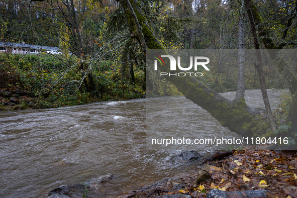 Rain from an atmospheric river swells Wolf Creek in Grass Valley, Calif., on November 23, 2024. 