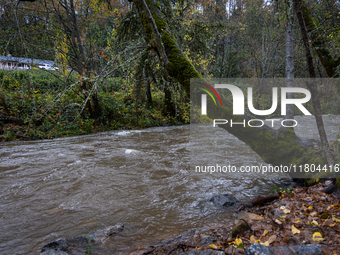 Rain from an atmospheric river swells Wolf Creek in Grass Valley, Calif., on November 23, 2024. (