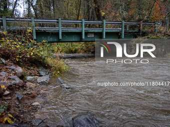 Rain from an atmospheric river swells Wolf Creek in Grass Valley, Calif., on November 23, 2024. (