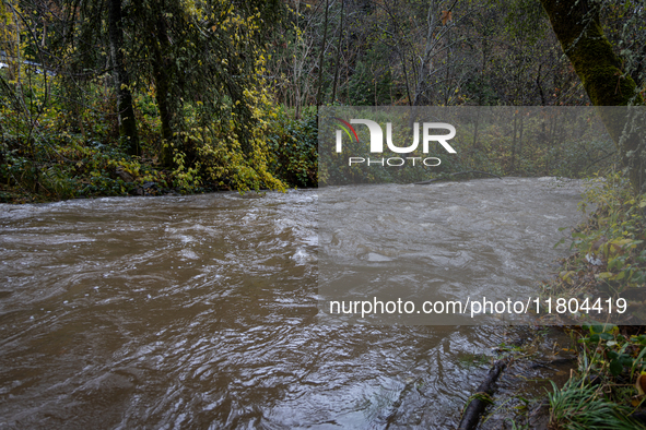 Rain from an atmospheric river swells Wolf Creek in Grass Valley, Calif., on November 23, 2024. 