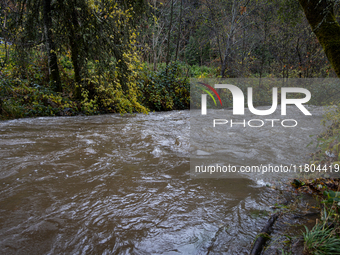 Rain from an atmospheric river swells Wolf Creek in Grass Valley, Calif., on November 23, 2024. (