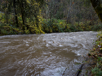 Rain from an atmospheric river swells Wolf Creek in Grass Valley, Calif., on November 23, 2024. (