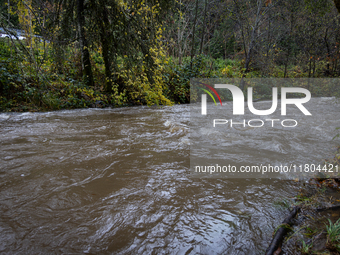 Rain from an atmospheric river swells Wolf Creek in Grass Valley, Calif., on November 23, 2024. (