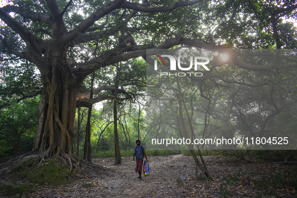 A homeless person walks inside a park in Kolkata, India, on November 24, 2024. 