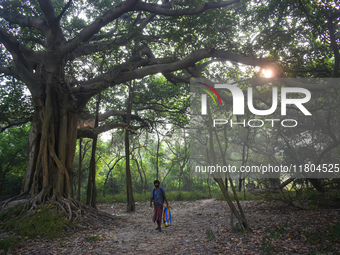 A homeless person walks inside a park in Kolkata, India, on November 24, 2024. (