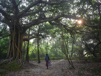 A homeless person walks inside a park in Kolkata, India, on November 24, 2024. (