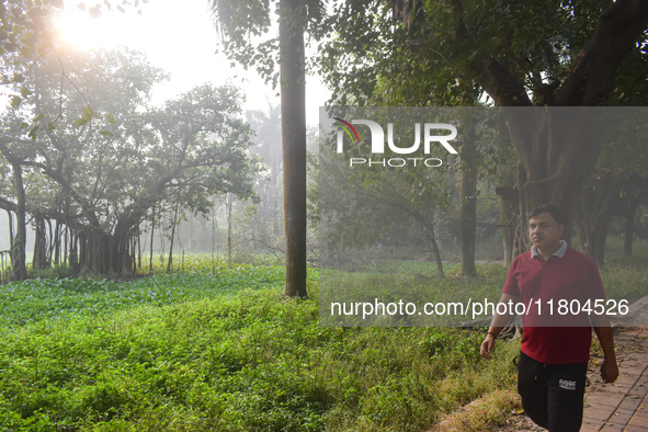 A person walks inside a park in Kolkata, India, on November 24, 2024. 