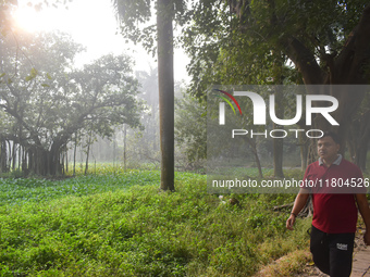 A person walks inside a park in Kolkata, India, on November 24, 2024. (