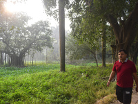 A person walks inside a park in Kolkata, India, on November 24, 2024. (