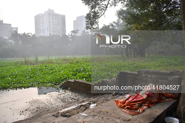 A homeless person sleeps beside a pond inside a park in Kolkata, India, on November 24, 2024. 