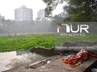 A homeless person sleeps beside a pond inside a park in Kolkata, India, on November 24, 2024. (