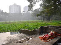 A homeless person sleeps beside a pond inside a park in Kolkata, India, on November 24, 2024. (