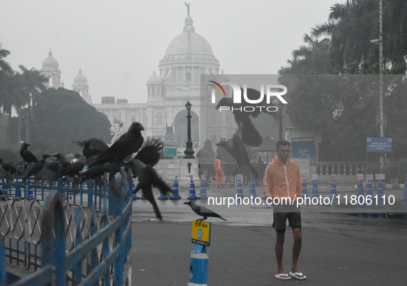 A person walks on the street on a smoggy morning due to air pollution in Kolkata, India, on November 24, 2024. 