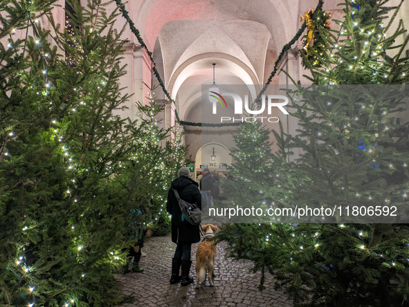 People enjoy the pre-Christmas atmosphere in the old town of Salzburg, Austria, on December 7, 2023. 