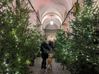 People enjoy the pre-Christmas atmosphere in the old town of Salzburg, Austria, on December 7, 2023. (