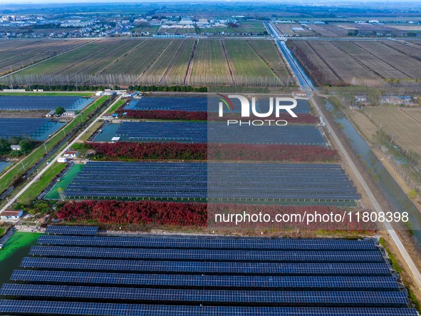 Workers set up solar panels at the construction site of Baima Lake Farm's fishery-solar hybrid project, with a total investment of 300 milli...