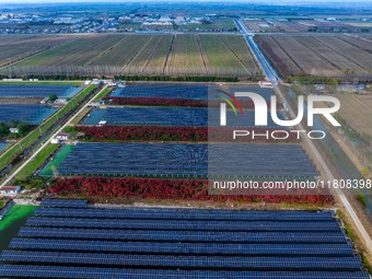 Workers set up solar panels at the construction site of Baima Lake Farm's fishery-solar hybrid project, with a total investment of 300 milli...