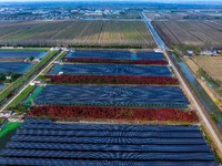 Workers set up solar panels at the construction site of Baima Lake Farm's fishery-solar hybrid project, with a total investment of 300 milli...