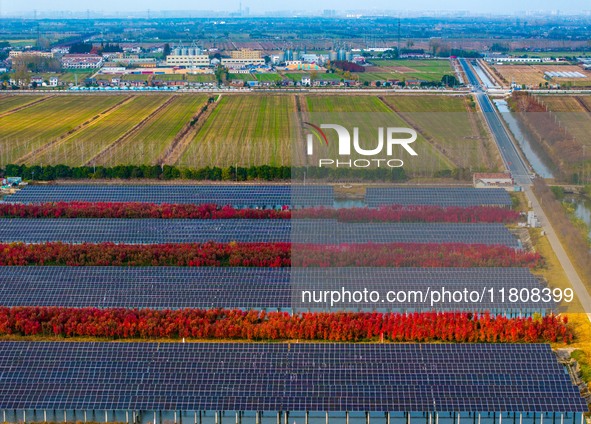 Workers set up solar panels at the construction site of Baima Lake Farm's fishery-solar hybrid project, with a total investment of 300 milli...