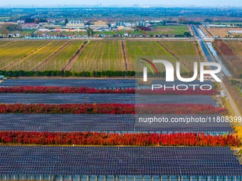 Workers set up solar panels at the construction site of Baima Lake Farm's fishery-solar hybrid project, with a total investment of 300 milli...