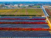 Workers set up solar panels at the construction site of Baima Lake Farm's fishery-solar hybrid project, with a total investment of 300 milli...