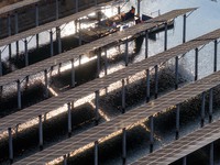 Workers set up solar panels at the construction site of Baima Lake Farm's fishery-solar hybrid project, with a total investment of 300 milli...