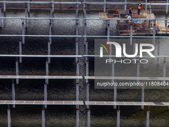 Workers set up solar panels at the construction site of Baima Lake Farm's fishery-solar hybrid project, with a total investment of 300 milli...