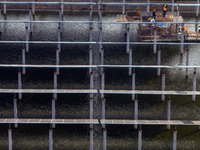 Workers set up solar panels at the construction site of Baima Lake Farm's fishery-solar hybrid project, with a total investment of 300 milli...