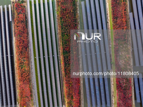 Workers set up solar panels at the construction site of Baima Lake Farm's fishery-solar hybrid project, with a total investment of 300 milli...