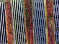 Workers set up solar panels at the construction site of Baima Lake Farm's fishery-solar hybrid project, with a total investment of 300 milli...