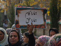 A female worker of the Jammu and Kashmir Pradesh Congress Committee (JKPCC) holds a placard during a protest demanding the restoration of st...