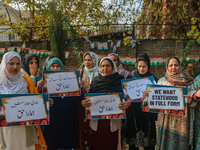 Female workers of the Jammu and Kashmir Pradesh Congress Committee (JKPCC) shout slogans and hold placards during a protest demanding the re...