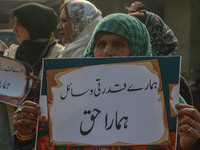 A female worker of the Jammu and Kashmir Pradesh Congress Committee (JKPCC) holds a placard during a protest demanding the restoration of st...