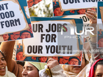 Female workers of the Jammu and Kashmir Pradesh Congress Committee (JKPCC) hold placards during a protest demanding the restoration of state...