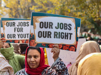 A female worker of the Jammu and Kashmir Pradesh Congress Committee (JKPCC) holds a placard during a protest demanding the restoration of st...