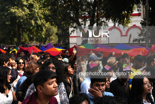 Members of the LGBT community walk with the rainbow flag during the pride march in New Delhi, India, on November 24, 2024. 