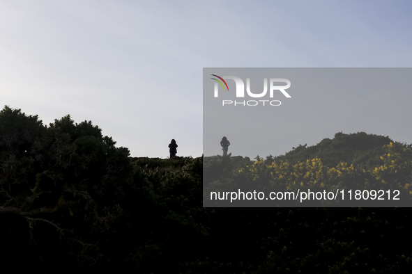 General view of the Howth Cliff Walk in Howth, Ireland, on November 2024 