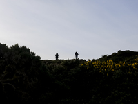 General view of the Howth Cliff Walk in Howth, Ireland, on November 2024 (