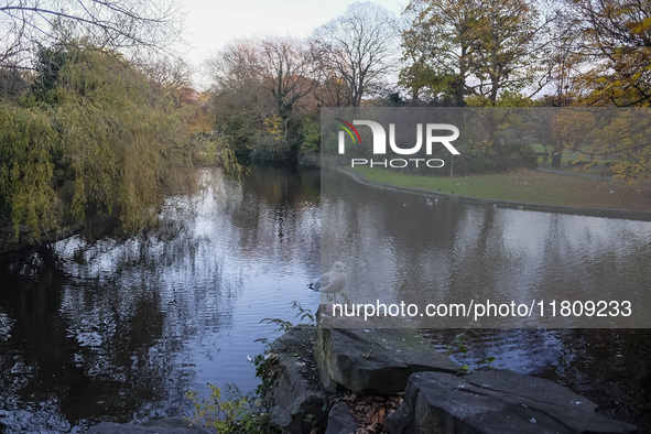 General view of St Stephen's Green Park in Dublin, Ireland, on November 2024 