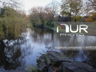 General view of St Stephen's Green Park in Dublin, Ireland, on November 2024 (