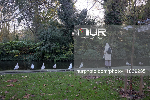 General view of St Stephen's Green Park in Dublin, Ireland, on November 2024 