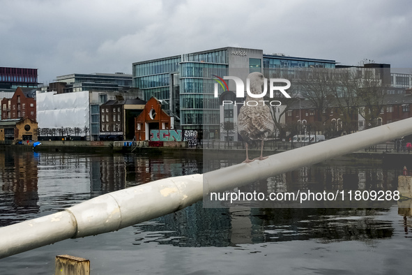 General view of Dublin Docklands from Liffey in Dublin, Ireland, on November 2024 