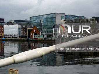 General view of Dublin Docklands from Liffey in Dublin, Ireland, on November 2024 (