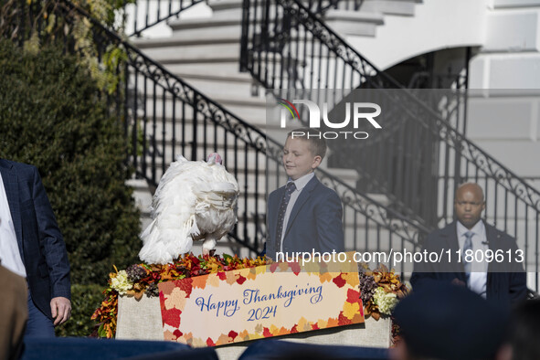 On November 25, 2024, in Washington, D.C., President Joe Biden pardons Peach and Blossom, two Minnesota turkeys, at an event on the South La...