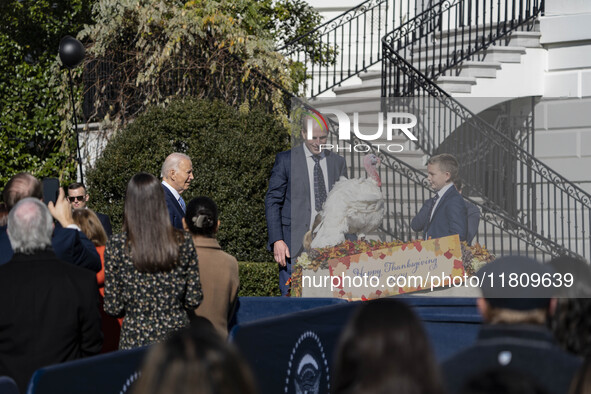 On November 25, 2024, in Washington, D.C., President Joe Biden pardons Peach and Blossom, two Minnesota turkeys, at an event on the South La...