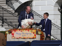 National Turkey Foundation chairman John Zimmerman and his son Grant present a turkey the 77th anniversary of the National Thanksgiving Turk...