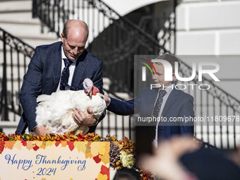 On November 25, 2024, in Washington, D.C., President Joe Biden pardons Peach and Blossom, two Minnesota turkeys, at an event on the South La...