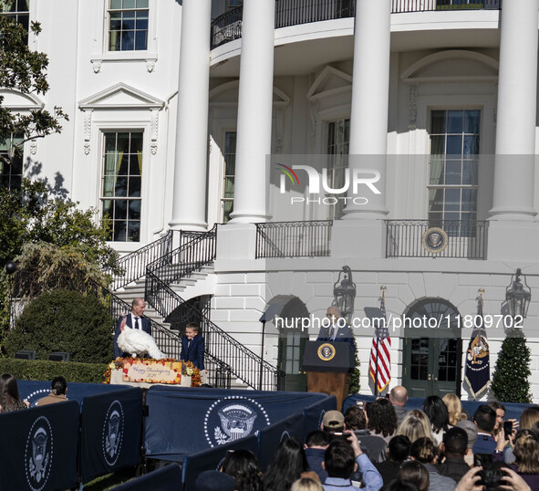 On November 25, 2024, in Washington, D.C., President Joe Biden pardons Peach and Blossom, two Minnesota turkeys, at an event on the South La...