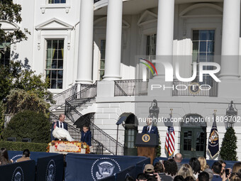 On November 25, 2024, in Washington, D.C., President Joe Biden pardons Peach and Blossom, two Minnesota turkeys, at an event on the South La...